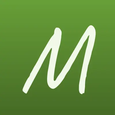 Мистер Гаджет