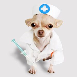 Ветпомощь на дому Севастополя